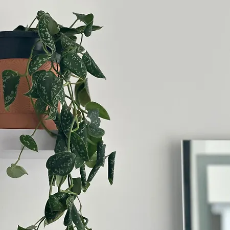 Le Gast - L'élégance Au Coeur De * Parigi